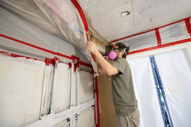 Professional Mold Removal in Emory, TX