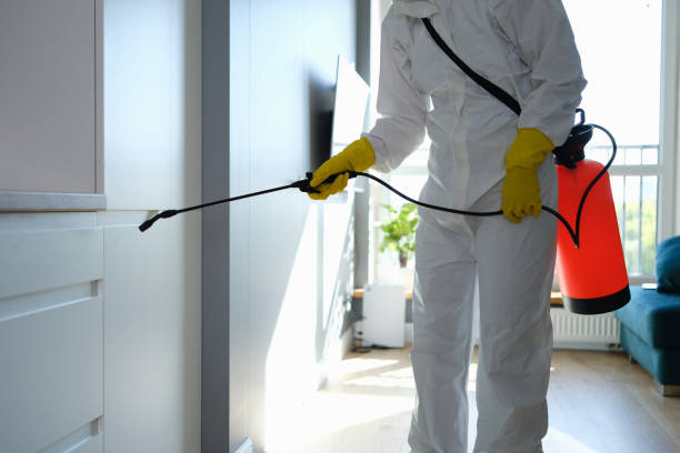 Best Mold Odor Removal Services  in Emory, TX
