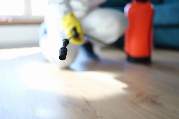 Best Airborne Mold Testing  in Emory, TX