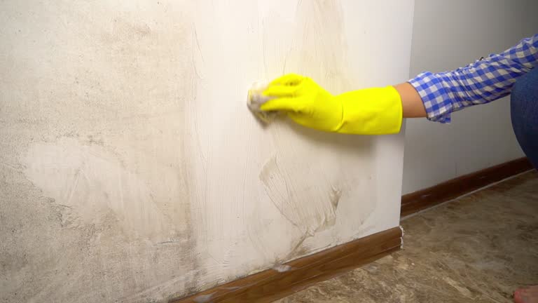 Best Comprehensive Air Testing for Mold Contaminants  in Emory, TX