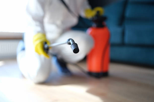 Best Emergency Mold Remediation  in Emory, TX